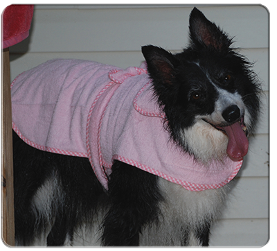 JJ in her pink Harry Barker bathrobe