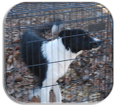 Jaycie at the farm waiting on ride to her new home