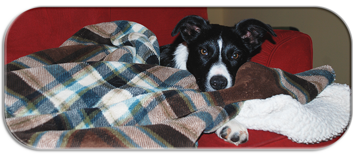 Jaycie covered up in her blanket for a nap