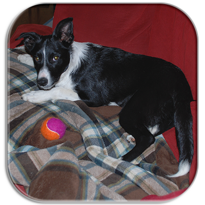 Jaycie with her tennis ball